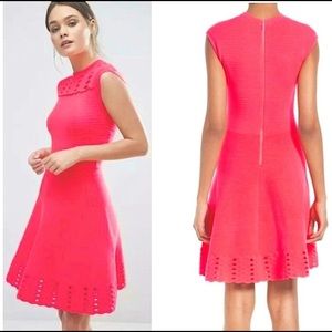 NWT TED BAKER Jacquard Panel Skater Dress